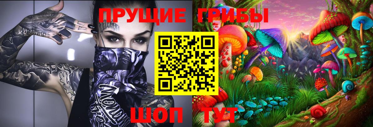 Галлюциногенные грибы Psilocybe Когалым